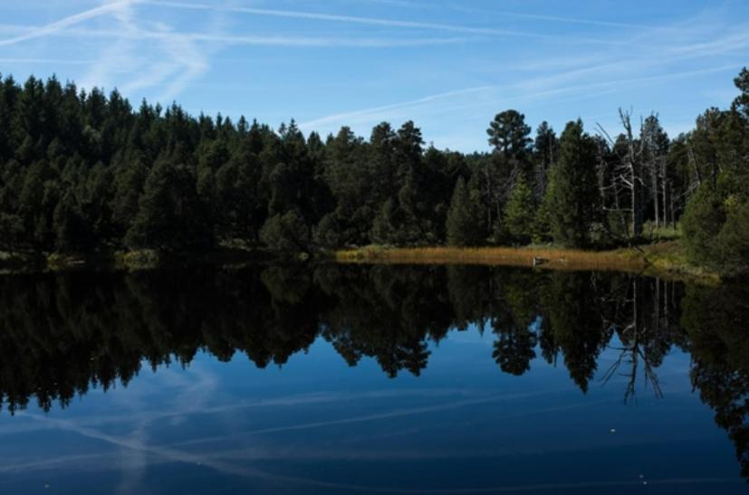 Living Timeless- Black Forest Style- Schoenwald Exteriör bild
