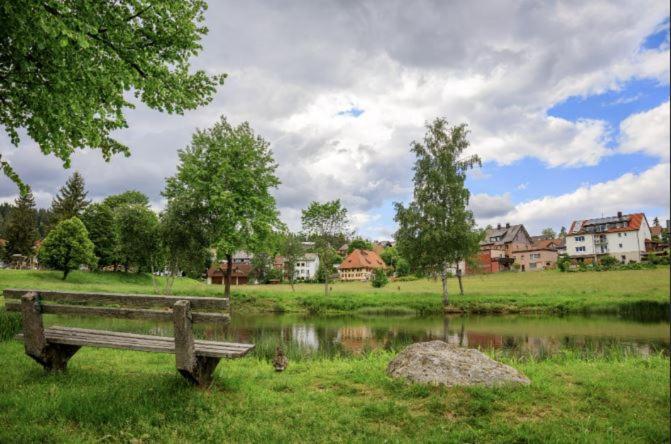 Living Timeless- Black Forest Style- Schoenwald Exteriör bild